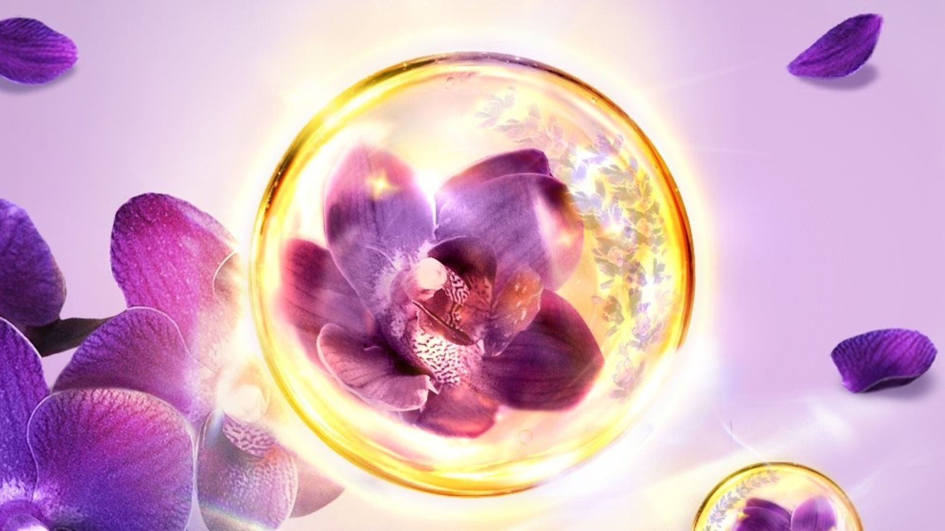 বেগুনি অর্কিডের একটি ছবি, যা লাক্স ম্যাজিকাল অর্কিডের প্রতিনিধিত্ব করে